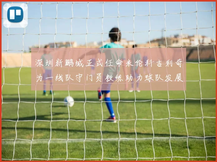 深圳新鹏城正式任命米伦科吉利奇为一线队守门员教练助力球队发展