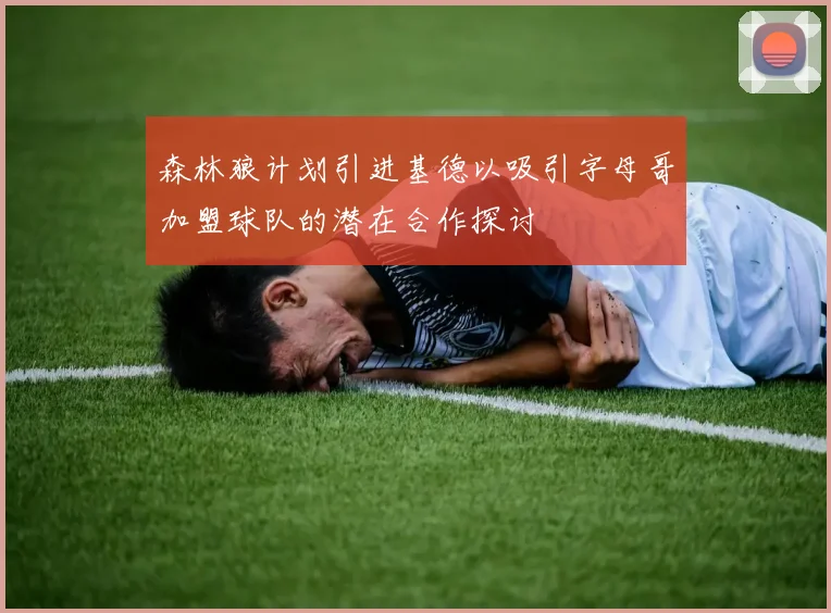 森林狼计划引进基德以吸引字母哥加盟球队的潜在合作探讨
